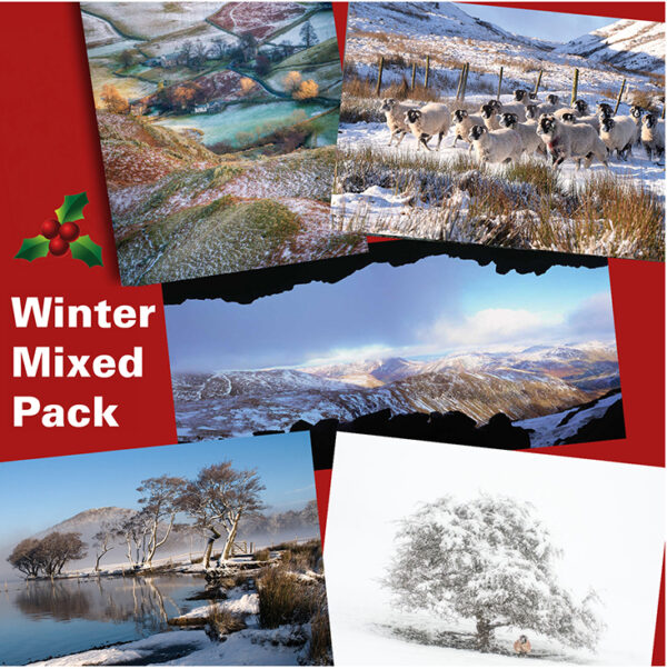 Winter Mixed Pack