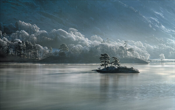 Winter Mixed Pack - Image 5