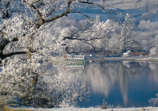 Steamer on a frosty day