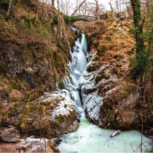 Frozen Aira Force