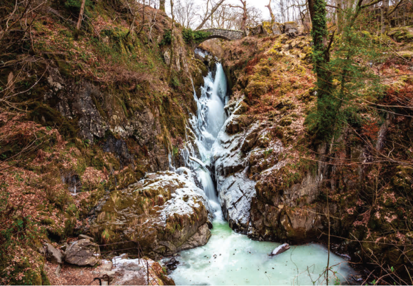 Frozen Aira Force