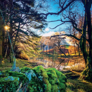 Lantys Tarn