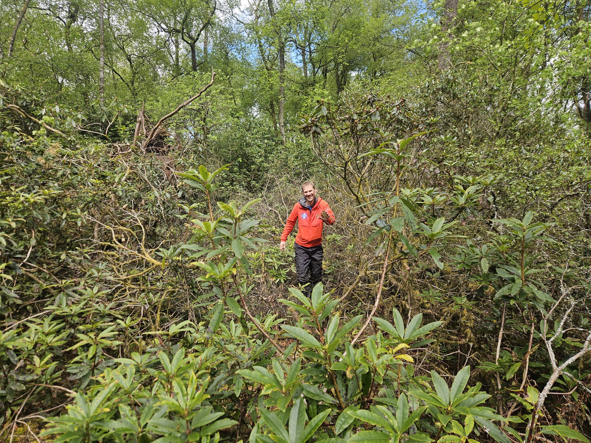 Search for a missing person in the Scottish Borders