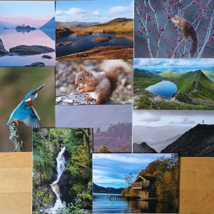 Mixed Pack Greetings Cards