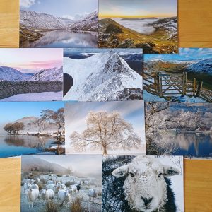 Winter Mixed Pack Greetings Cards