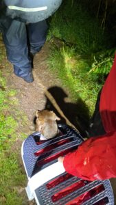 Patterdale Mountain Rescue Team callout at Gowbarrow Fell.
