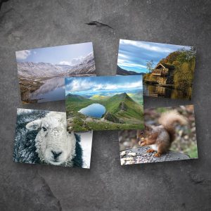 Mixed pack greetings cards on slate