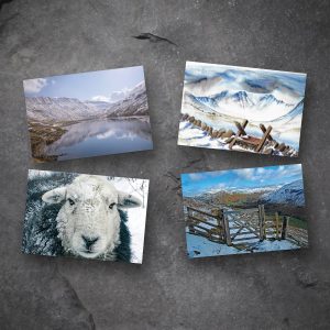 Winter mixed pack greetings cards on slate